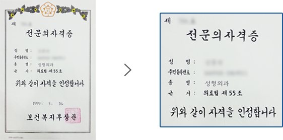保健福祉部長官名義の形成外科専門医資格証（전문의자격증）と種別欄の拡大