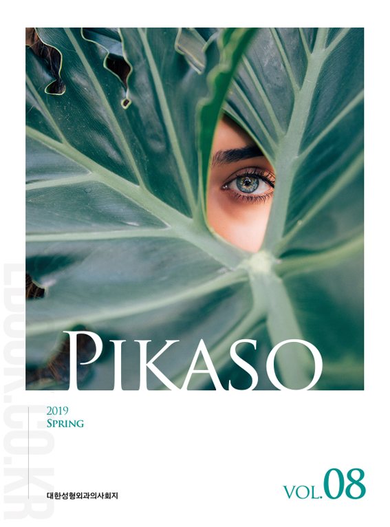 PIKASO Vol.08 표지