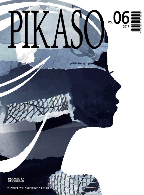 PIKASO Vol.06 표지